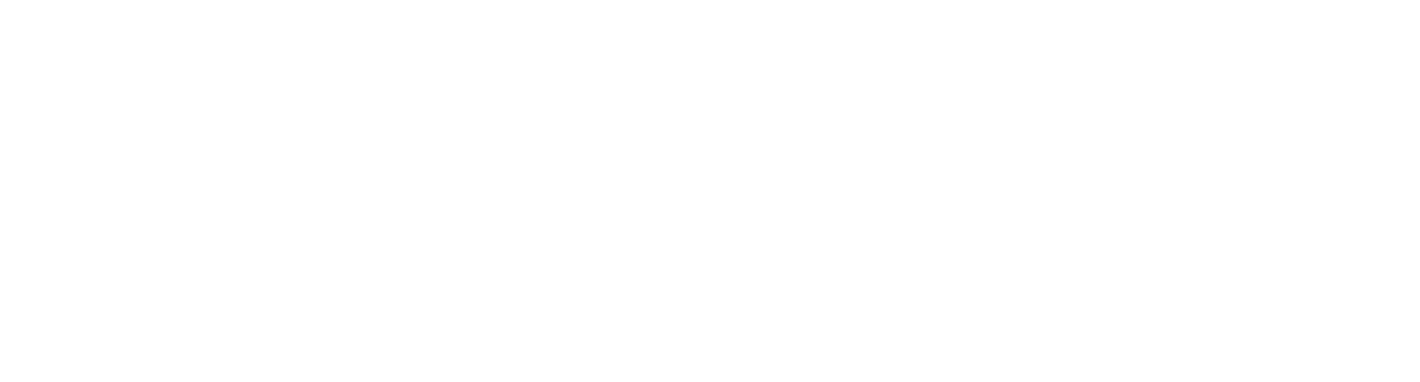 FLY88